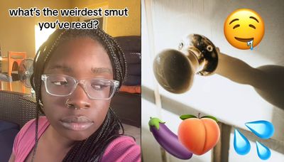 8 Of The Wildest Smut Books From Banging A Door To Getting Stuffed By A Pillow