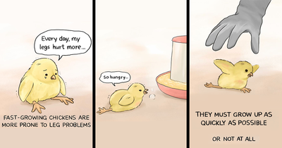Artist Created 15 New Comics To Expose The Sad Reality Of Many Animals On This Planet