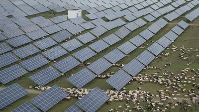 China races to build the world's largest solar farm to meet emissions targets