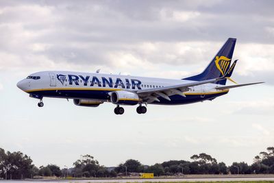 Ryanair calls for urgent changes after ‘shambolic’ delays