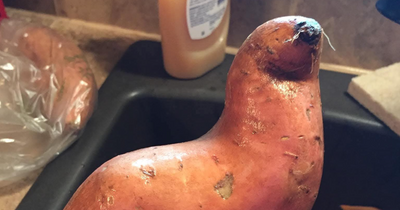 50 Funny Pareidolia Pics That Prove Even Random Objects Have Personality