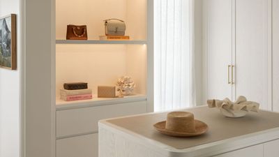 Not Just for Your Suitcase, Here Are 5 Ways You Can Use Your Packing Cubes to Organize Your Home Once Your Holiday Is Over