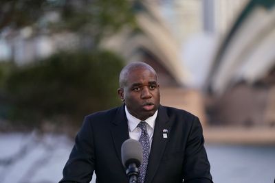 Lammy labels Gaza famine ‘utterly horrifying’
