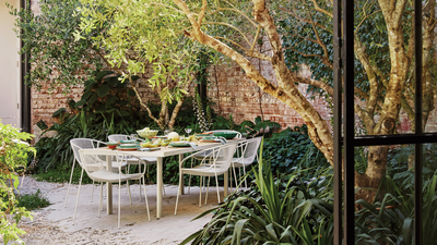 My Mom Told Me This Supermarket Herb Is a Brilliant Natural Pest Repellent for Your Outdoor Table — And It Looks Great While Doing It