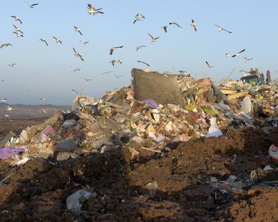 Licence to burn: Victoria is changing the way it deals with rubbish – is it moving too fast?