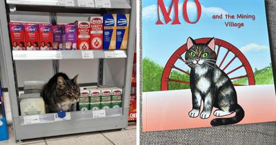 Beloved Scottish supermarket cat inspires new children's book