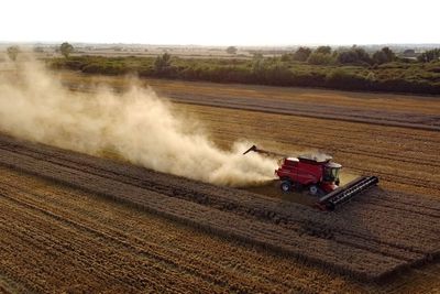 UK harvest on course for near record low after drought hits crops – analysis