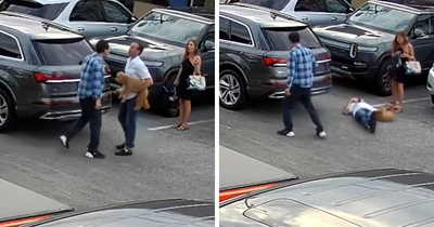 Uber Driver Brutally Knocks Out CEO With Service Dog In Shocking Video—Passenger’s Account Got Suspended