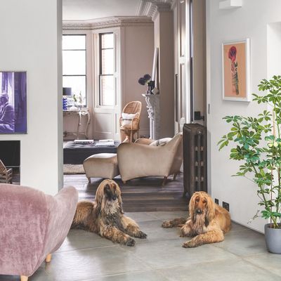 What’s the best flooring for a dog-friendly home? Experts reveal the one material they would always pick