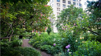 The sky's the limit – how Upper West Side residents redefined urban gardening within their NYC rooftop oasis