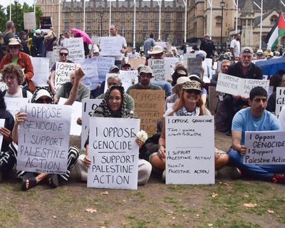 Suffragettes and Palestine Action