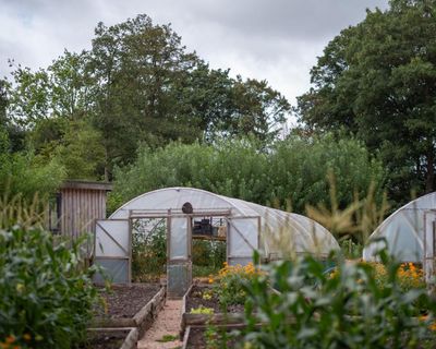 Nature, respect and work all help to reduce prisoners’ reoffending