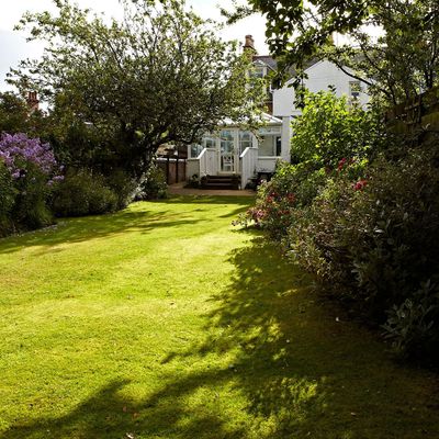 3 things you should put on your lawn in summer to encourage lush, green grass before the season ends