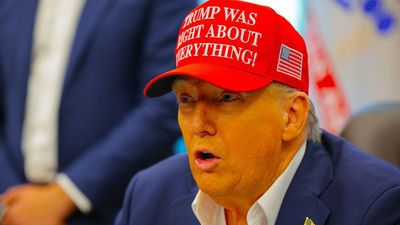 ‘The whole Epstein thing is a Democrat hoax!’: Trump in panic mode as Epstein file release imminent