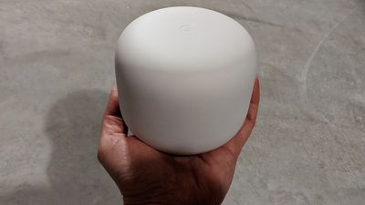 Everything you need to know about Google's mysterious smart speaker and its colors