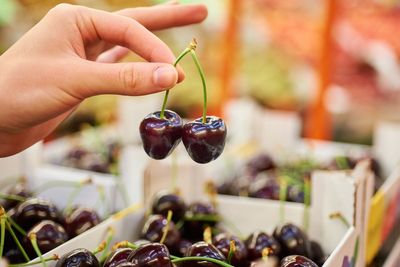 How changing the state of popular fruit can help prevent Alzheimer’s disease