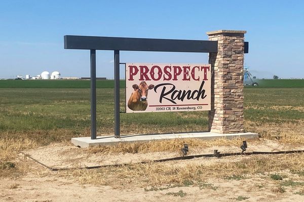 Rural Colorado mourns 6 dairy workers who died from suspected gas exposure