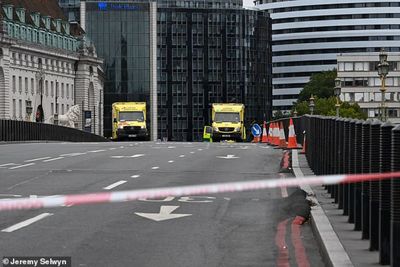 Westminster Bridge Police Incident: 5 Key Facts About the Sudden London Shutdown During Rush Hour