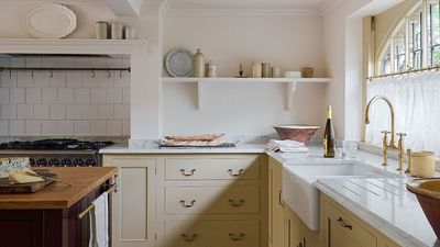 Tired of wrinkled, messy cloth place mats and napkins? This compact $16 undershelf holder is perfect for small kitchens and takes ‘one second to install’