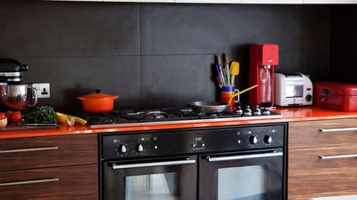 Are retro appliances finally going out of style? Designers weigh in on whether the retro look is truly timeless