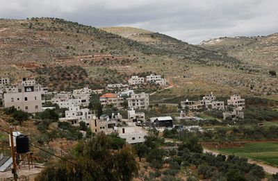 Israeli military uproots thousands of Palestinian olive trees in West Bank