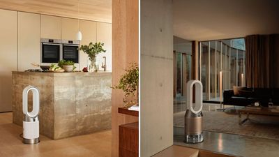 Dyson's brand new air purifiers are all-season skin heroes - here's how to choose the right one for you