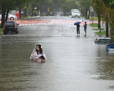 Queensland urged to use TikTok and ‘trusted influencers’ to combat misinformation during natural disasters