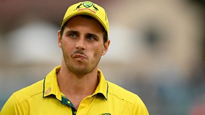 Aussie quick's career at crossroads after latest injury