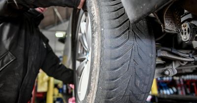 ‘Warning sign’ as toxic tyres prove to be a threat to wildlife