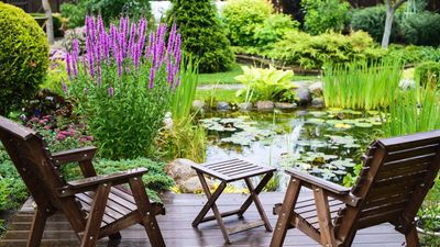 I've designed and managed therapeutic gardens throughout my career, and know the 7 essential elements of creating a restorative wellness garden