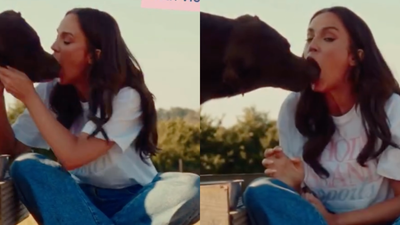 British Reality TV Star Vicky Pattison Sends Fans Into Orbit Over ‘Rank’ Dog Video