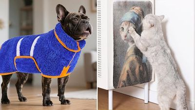 The 55 Dopest Things for Cats & Dogs You Never Knew Existed