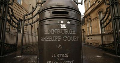 Businessman fined after terrorising two grey seal pups at Scottish harbour