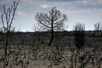 Spain Heatwave Was 'Most Intense On Record'