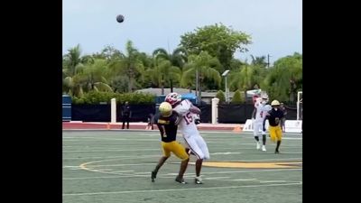 Ohio State Commit Chris Henry Jr., Son of Late Bengals WR, Makes Ridiculous TD Catch