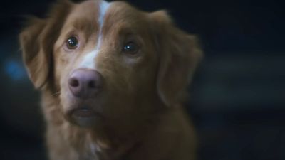 That New, Viral Horror Movie That Has Us All Worried About Whether The Dog Dies Just Got Some Good News