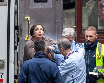 Erin Patterson plea hearing: mushroom murderer’s prison conditions ‘don’t sound very humane’, judge says – as it happened