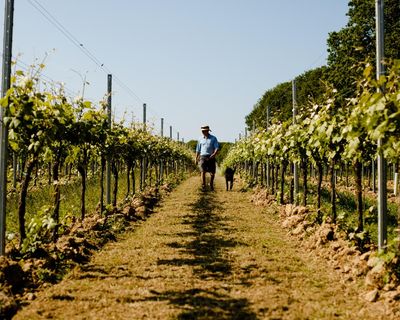 ‘We cannot do it the way our fathers did’: farmers across Europe struggle to adapt to the climate crisis