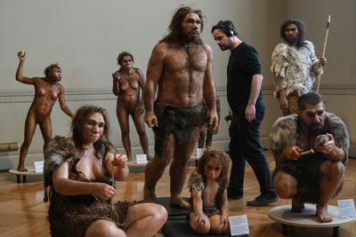 Human Ancestor Lucy Gets First European Showing In Prague