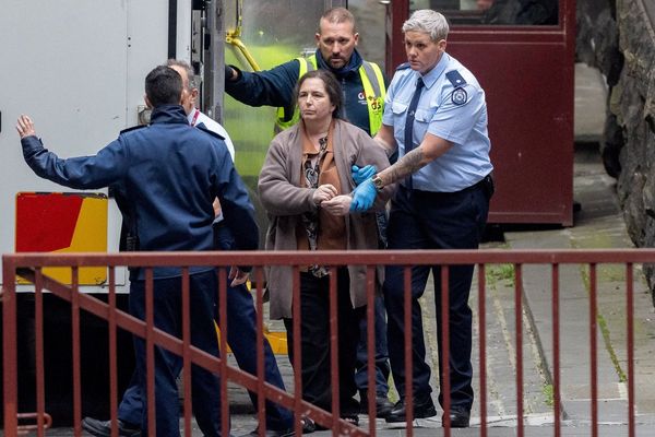 Erin Patterson plea hearing: Ian Wilkinson says he feels ‘only half alive’ without late wife