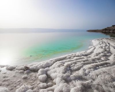 Poem of the week: New Republic by Michal Rubin