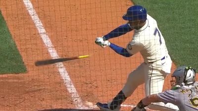Baseball Players Suddenly Breaking Bats on Check Swings
