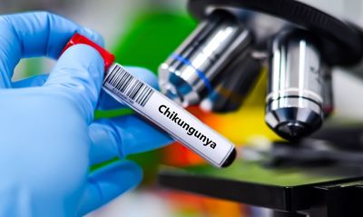 Safety Concerns Hit Valneva As Ixchiq Chikungunya Virus Vaccine Is Suspended In US