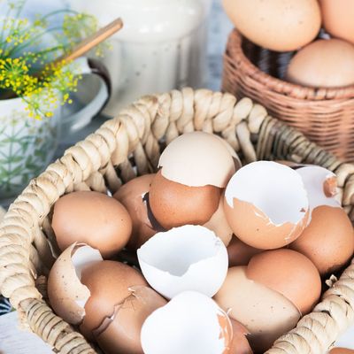 6 places in the garden to never use eggshells - it could cause more harm than good