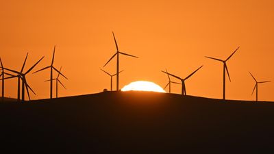 'Broken' nature laws fast-tracked but details up in air