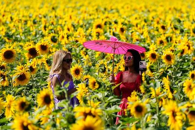 Warmest August bank holiday Monday ever for Wales and Northern Ireland