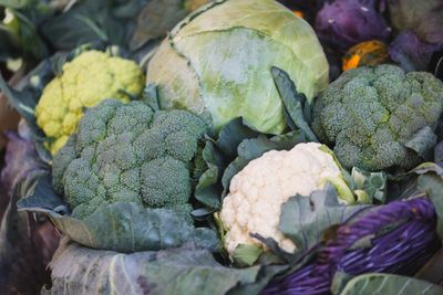 New Study Links Specific Vegetables to Reduced Colon Cancer Risk