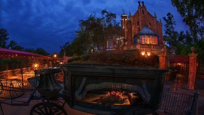 People Are Just Now Finding Out What A Code Grandma Is At Disney World