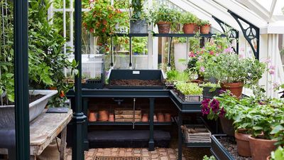 How to kit out a greenhouse – experts share clever tips and tricks for making the most of your growing space