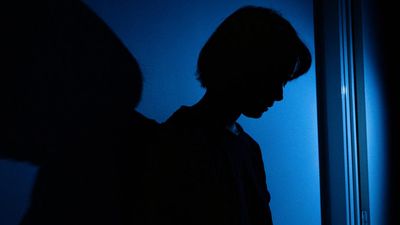 Victims' Commissioner resigns after DV hotline debacle